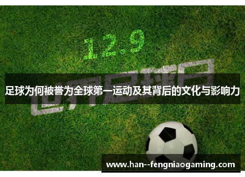 足球为何被誉为全球第一运动及其背后的文化与影响力