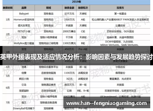 英甲外援表现及适应情况分析：影响因素与发展趋势探讨