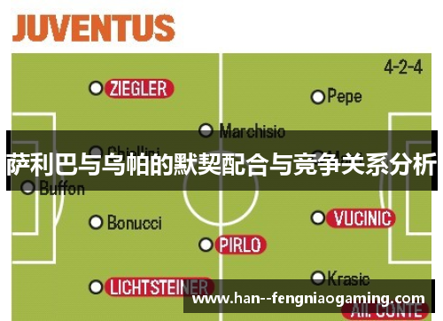 萨利巴与乌帕的默契配合与竞争关系分析