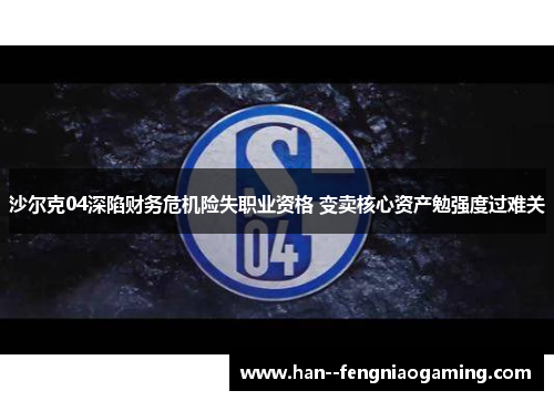 沙尔克04深陷财务危机险失职业资格 变卖核心资产勉强度过难关