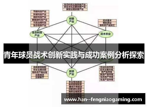 青年球员战术创新实践与成功案例分析探索