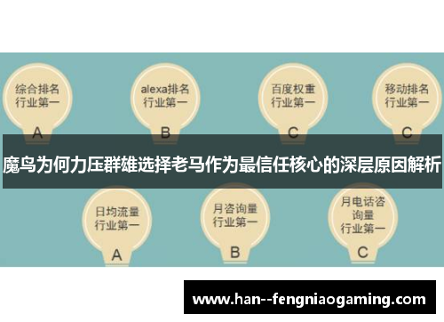 魔鸟为何力压群雄选择老马作为最信任核心的深层原因解析