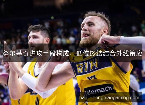 努尔基奇进攻手段构成：低位终结结合外线策应